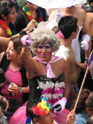 La marcha del orgullo es contestataria, antisistema y revolucionaria La marcha del orgullo es contestataria, antisistema y revolucionaria